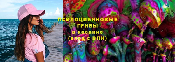 сатива Киреевск